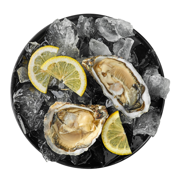 Mediterrane Meeresküche aus frischen Zutaten