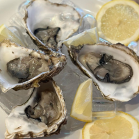 Mediterrane Meeresküche aus frischen Zutaten